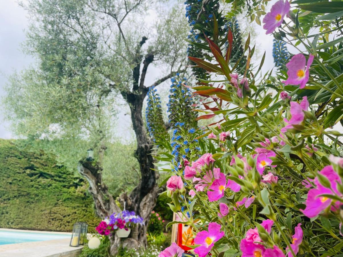 Bed and Breakfast Abeille Vence Exteriér fotografie
